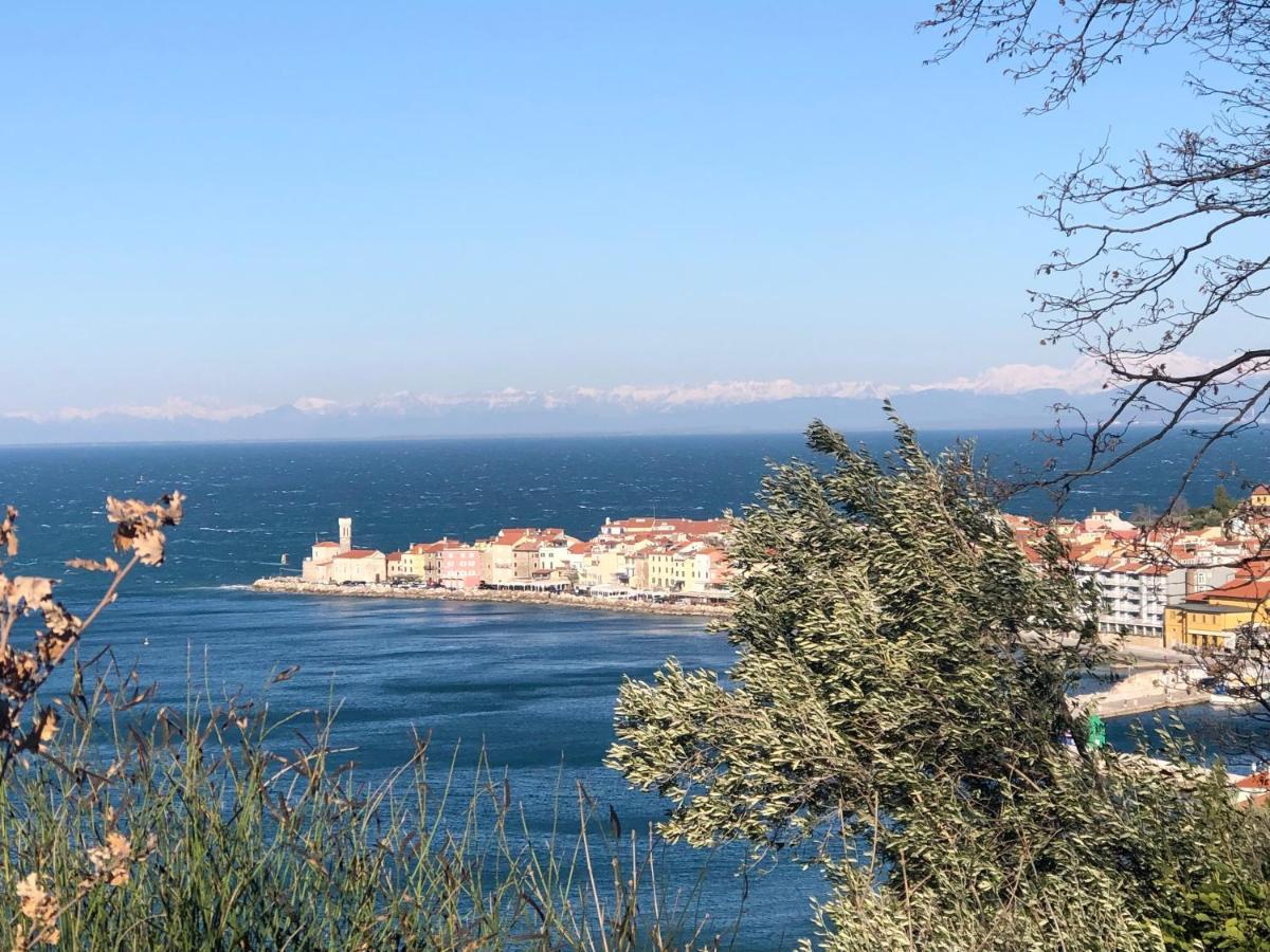 Apartment Modrin Piran Zewnętrze zdjęcie