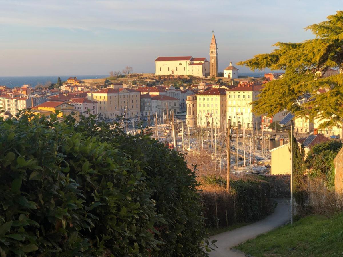 Apartment Modrin Piran Zewnętrze zdjęcie